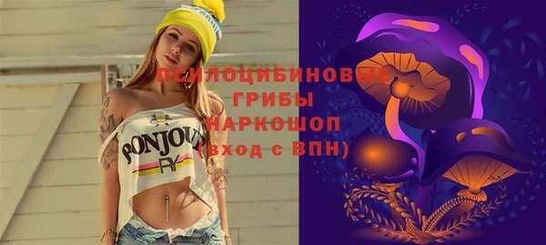 таблы Новозыбков