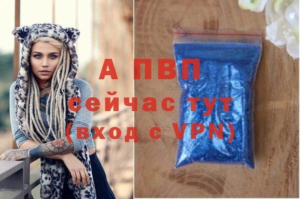 таблы Новозыбков