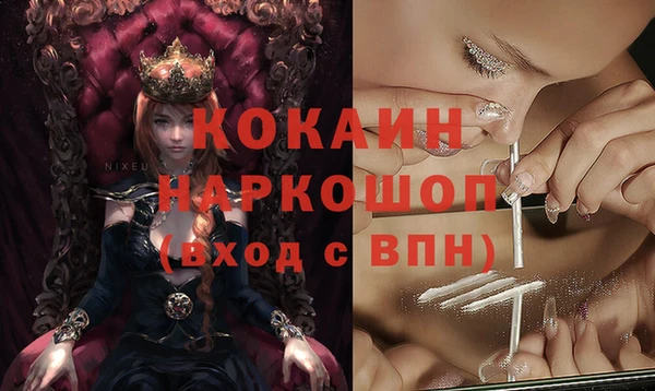 таблы Новозыбков