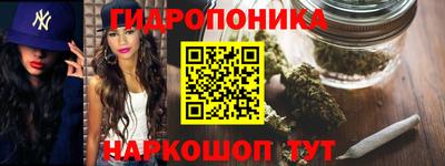 стафф Бийск