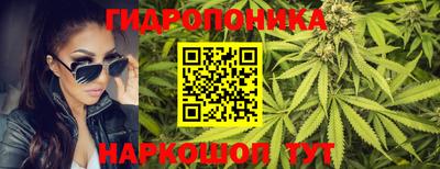 дурь Берёзовский