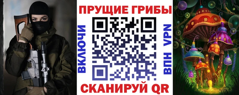 дарк нет состав Владимир Галлюциногенные грибы GOLDEN TEACHER