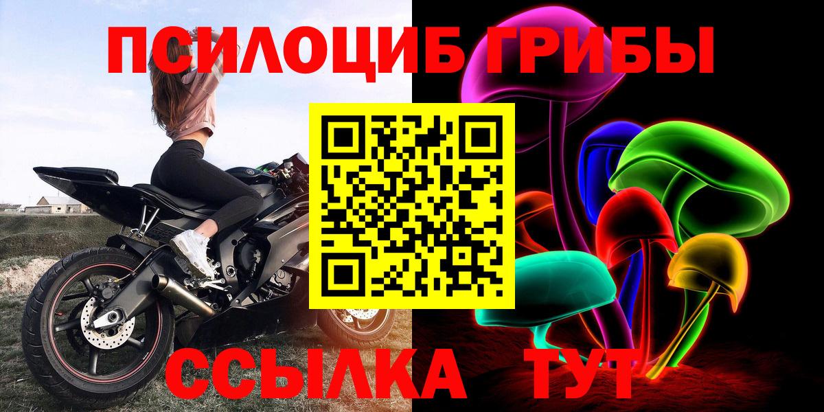 Псилоцибиновые грибы мухоморы  Владимир  Галлюциногенные грибы Cubensis 