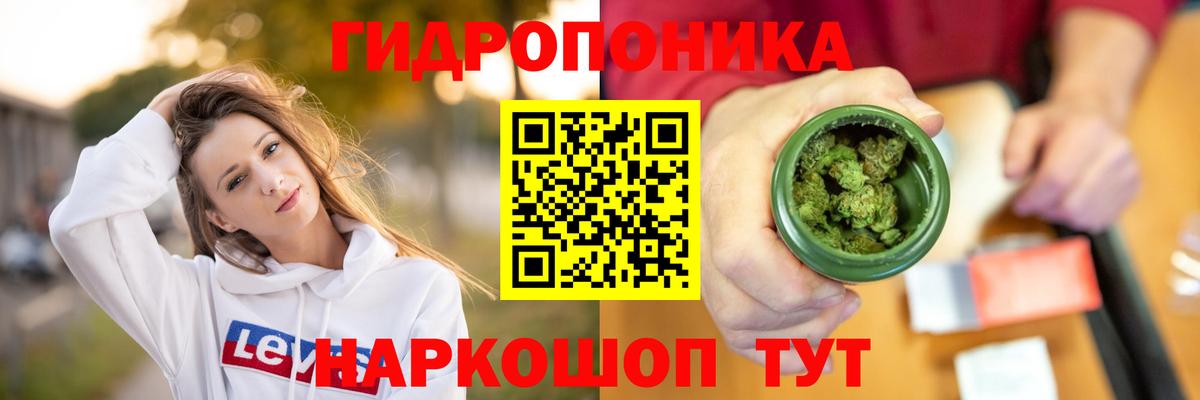 Владимир  Канабис SATIVA & INDICA  Вход с VPN  Шишки марихуана конопля  Бошки Шишки LSD WEED 